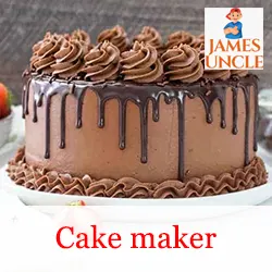 Cake maker Adite Dhar in Alipurduar